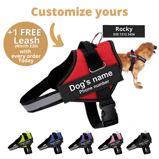 GM™ Ultimate Personalized No Pull Dog Harness