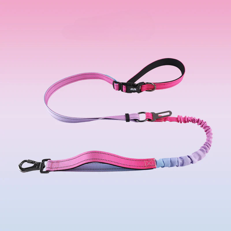 Hands-free dog leash, crossbody dog leash, with car seat belt, suitable for walking, jogging, hiking, traveling, etc.