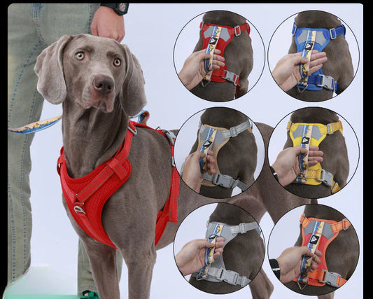 Pet chest harness explosion-proof harness, night reflective, adjustable, with the same dog leash