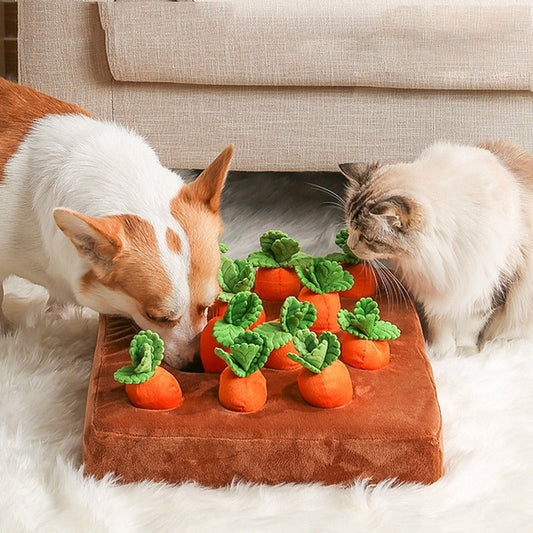 Pawbb™ - Carrot Garden