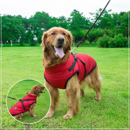 Pawbb™ - Waterproof Jacket Harness - Blue