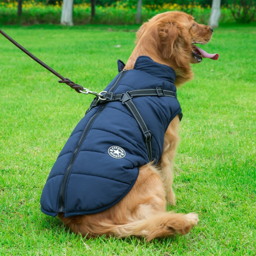 Pawbb™ - Waterproof Jacket Harness - Blue