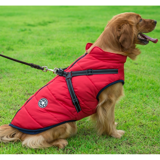 Pawbb™ - Waterproof Jacket Harness - Blue