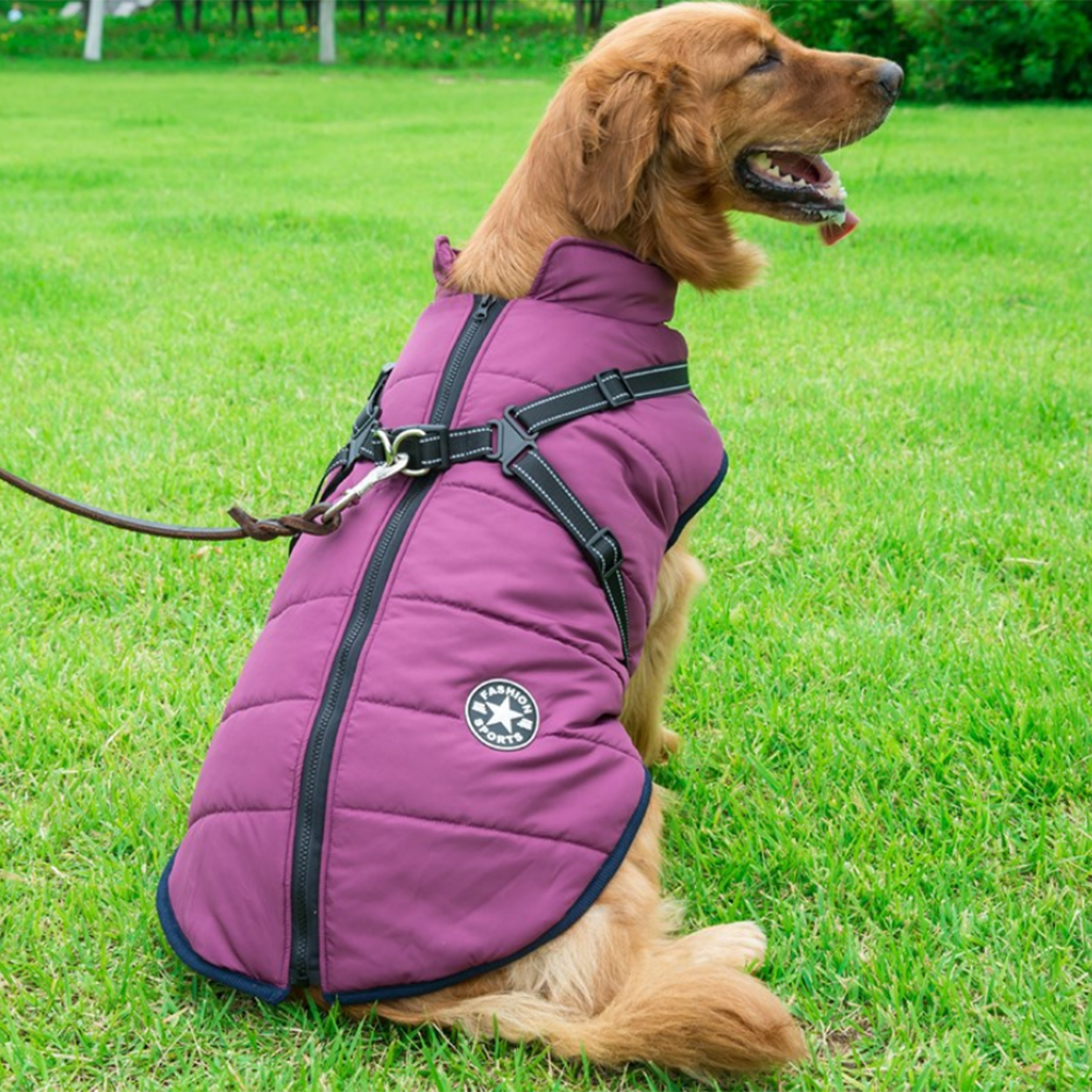 Pawbb™ - Waterproof Jacket Harness - Blue