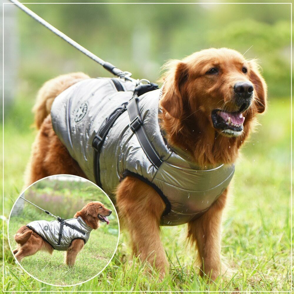Pawbb™ - Waterproof Jacket Harness - Blue